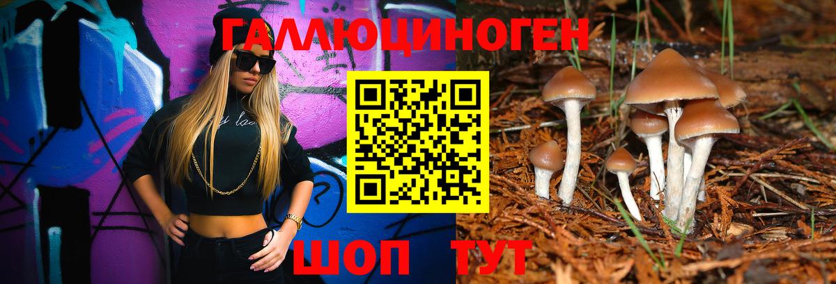 Галлюциногенные грибы GOLDEN TEACHER  Псилоцибиновые грибы мицелий  Вход с VPN  закладки  Крымск 